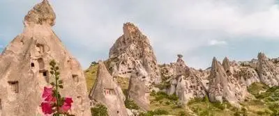 Tur görseli 6