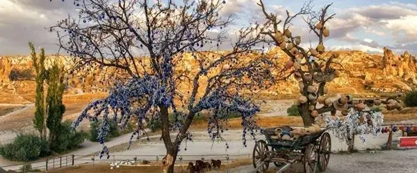 somestre-ozel-izmir-cikisli-ucakli-kapadokya-kayseri-turu-2-gece-turu