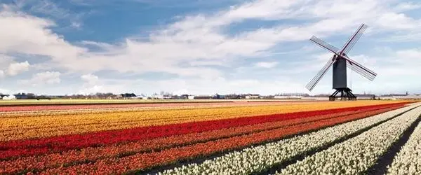 izmirden-direkt-hareketli-gorkemli-amsterdam-renklerin-sehri-sun-express-hava-yollari-4-gece-turu